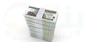 ازاي تحسب عائد 500 ألف جنيه في حساب "توفير كل يوم كاش" من QNB مصر؟