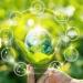 Banking leaders double down on sustainability