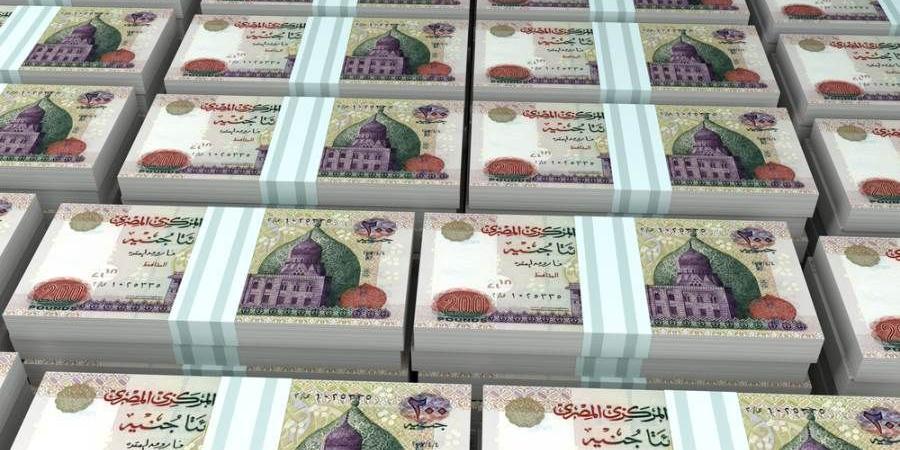 البنك المركزي: القطاع العائلي يستحوذ على 57.4% من ودائع البنوك بنهاية سبتمبر 2024