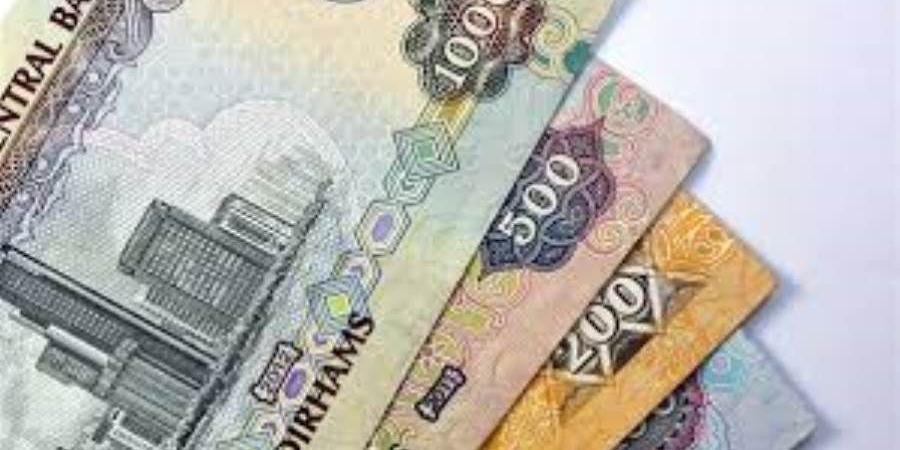 سعر الدرهم الإماراتي اليوم الثلاثاء 14-1-2025 في البنوك