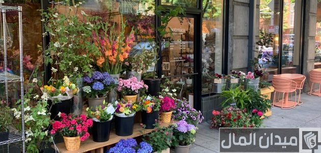 أقرب محل ورد طبيعي من موقعي