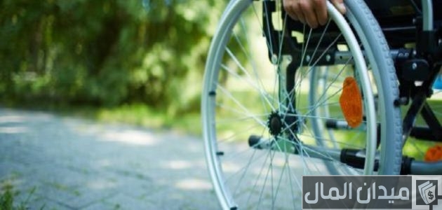 كارنية المعاقين الجديد