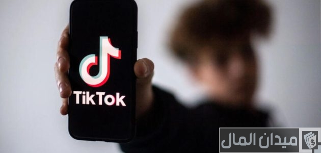 كم عدد المتابعين للربح من التيك توك