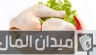 دراسة جدوى مشروع توزيع الدجاج على المطاعم