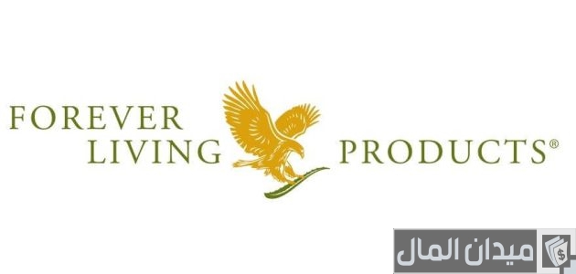 مين اشتغلت في شركة فوريفر