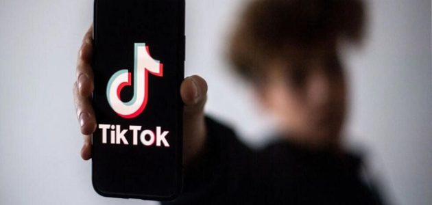 نسبة التيك توك من الدعم