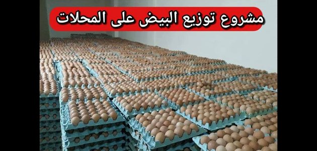مشروع توزيع البيض على المحلات