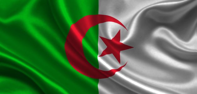 أحسن تجارة مربحة في الجزائر