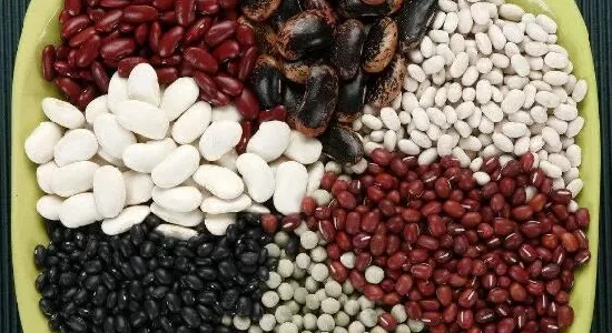 أنواع الفاصولياء بالصور