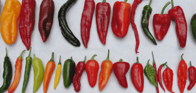 أنواع الفلفل الحار