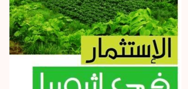 الاستثمار في أثيوبيا وأشكاله