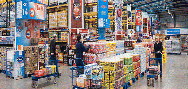 دراسة جدوى مشروع تجارة الجملة