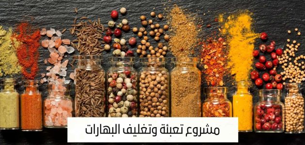 دراسة جدوى مشروع تعبئة وتغليف البهارات