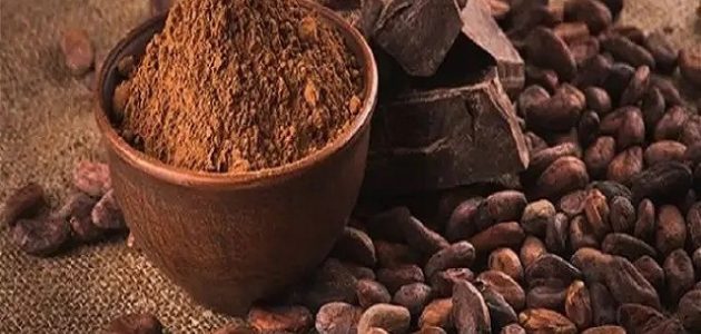 زراعة الكاكاو في مصر