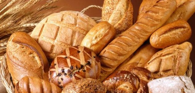 شروط ترخيص مخبز فينو في مصر