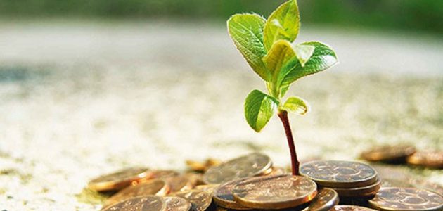 ما هي أنواع الاستثمار في البنوك الإسلامية ؟