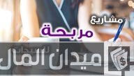 أفكار مشاريع صغيرة مربحة في المنزل للسيدات برأس مال صغير