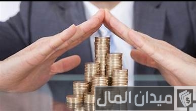 تجارة مربحة برأس مال بسيط.. اكتشف التفاصيل