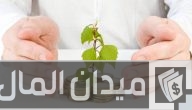 أفكار مشاريع أوروبية ناجحة ناجحة