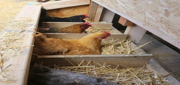 أفكار مشاريع لربح المال مبتكرة للشباب