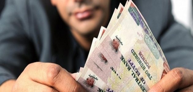 أفكار مشروع برأس مال مليون جنيه