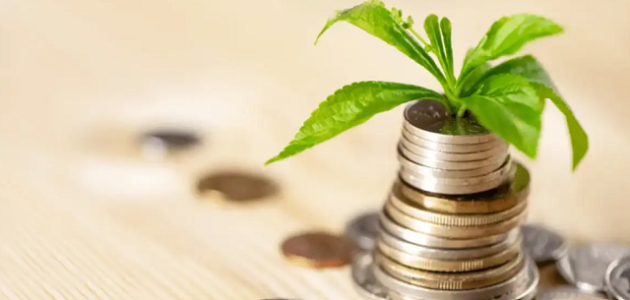 أفكار مشروعات صغيرة مربحة بالمنزل