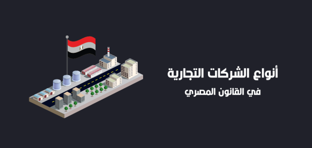 أنواع الشركات التجارية في مصر