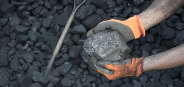 صناعة الفحم من نشارة الخشب