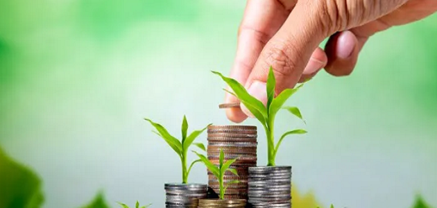 تمويل المشاريع الصغيرة بدون فوائد