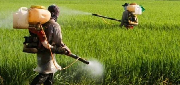 دليل المبيدات الزراعية المسجلة في مصر