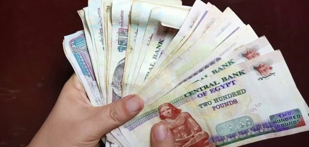 مشروع برأس مال 100 الف جنية