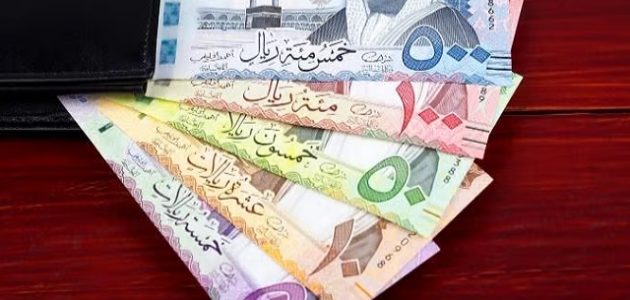 شركات استثمار الأموال في السعودية