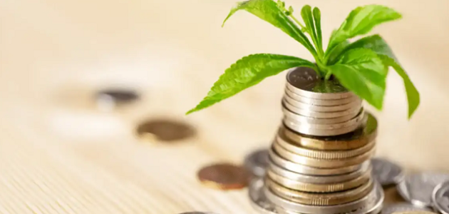 كيف تبدأ مشروع بمبلغ بسيط