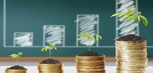 مشروع دخله ممتاز