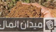 أنواع الطين