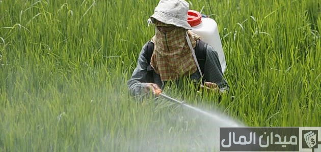 أنواع المبيدات الزراعية وفوائدها ومخاطرها وطرق الوقاية منها