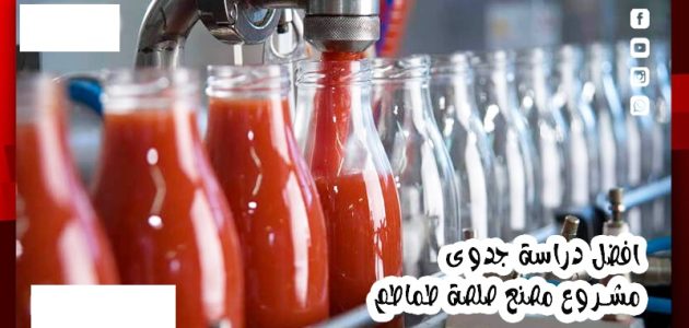 دراسة جدوى مشروع مصنع صلصة طماطم