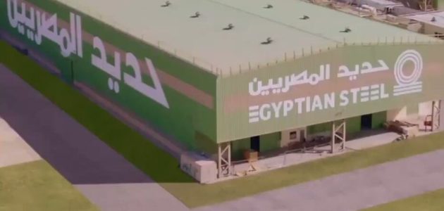 كيفية الحصول على توكيل حديد المصريين