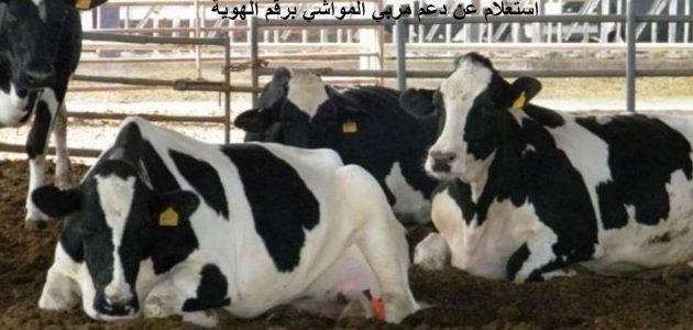 استعلام عن دعم مربي المواشي وزارة الزراعة بالسجل المدني ورقم الهوية