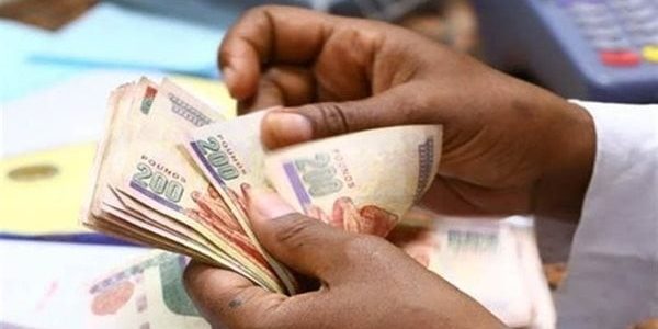 الاستعلام عن المعاش بالرقم القومي