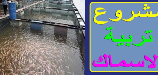 دراسة جدوى تربية السمك على الأسطح