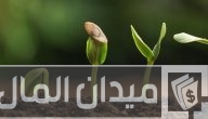 دراسة جدوى زراعة نباتات طبية وعطرية