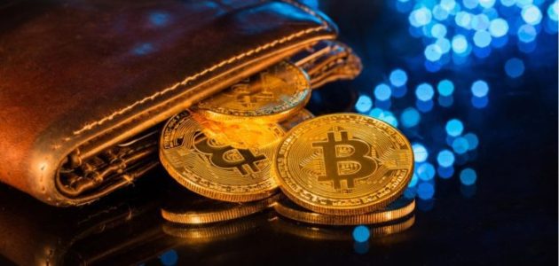 كيف تعمل محفظة عملات رقمية؟