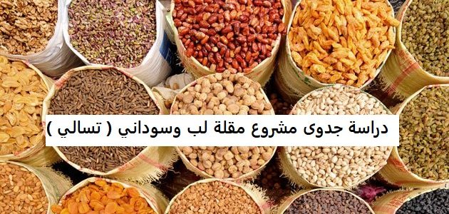 دراسة جدوى مشروع مقلة لب وسوداني ( تسالي )