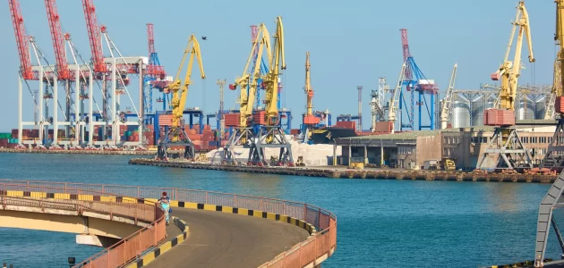 رسوم جمارك المواد الغذائية في مصر