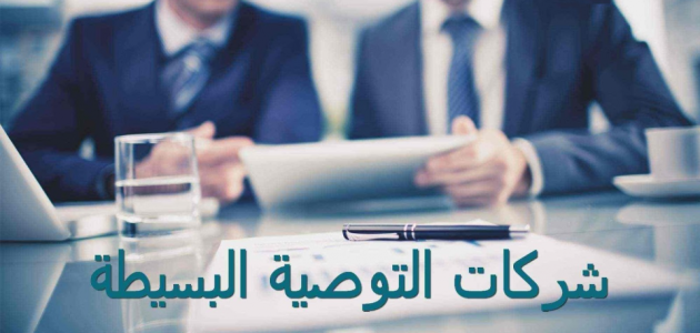مميزات وعيوب شركة التوصية البسيطة