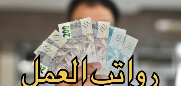 رواتب العمل في مالطا