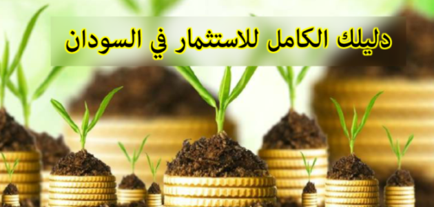 الاستثمار في السودان.. استثمار ذا أفق جديد