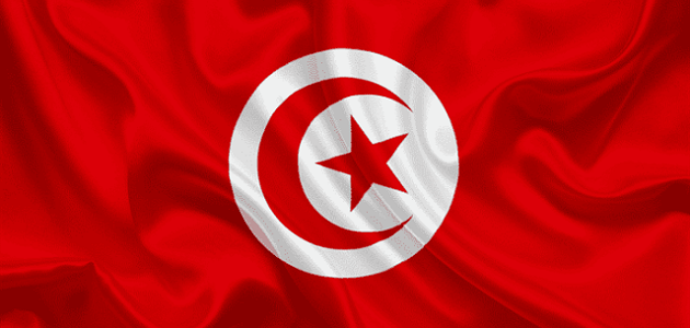 كيفية إنشاء شركة استيراد وتصدير في تونس بالخطوات