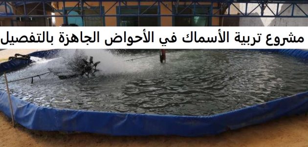 مشروع تربية الأسماك في الأحواض الجاهزة بالتفصيل
